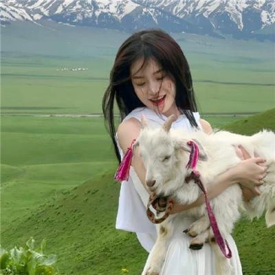 愿你在此 封面